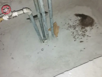 石河子卫生间测漏水价格明细