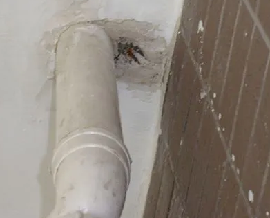 石河子漏水检测哪家好